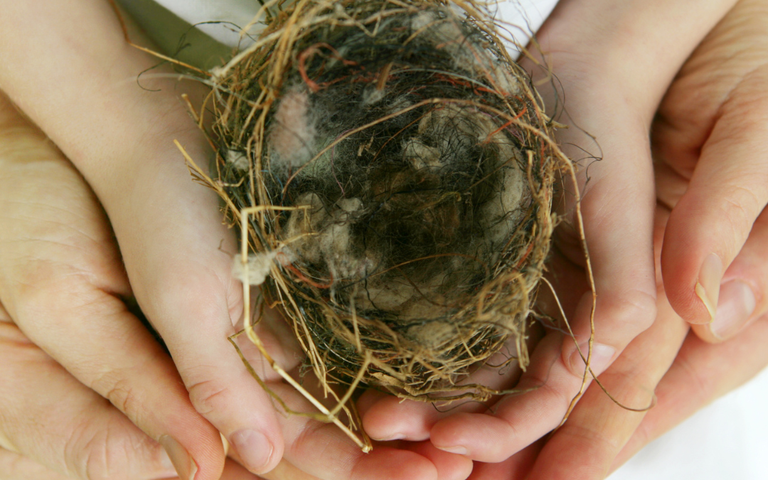 Triumphing over Empty Nest Syndrome with Hypnotherapy